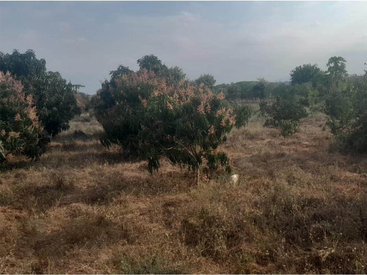 Expansive Agricultural Land for Sale in Kitui County